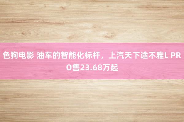 色狗电影 油车的智能化标杆，上汽天下途不雅L PRO售23.68万起