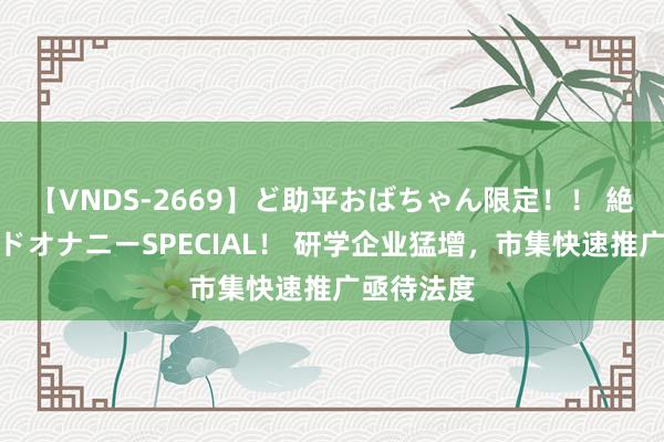 【VNDS-2669】ど助平おばちゃん限定！！ 絶頂ディルドオナニーSPECIAL！ 研学企业猛增，市集快速推广亟待法度